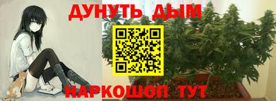 прущая мука Будённовск