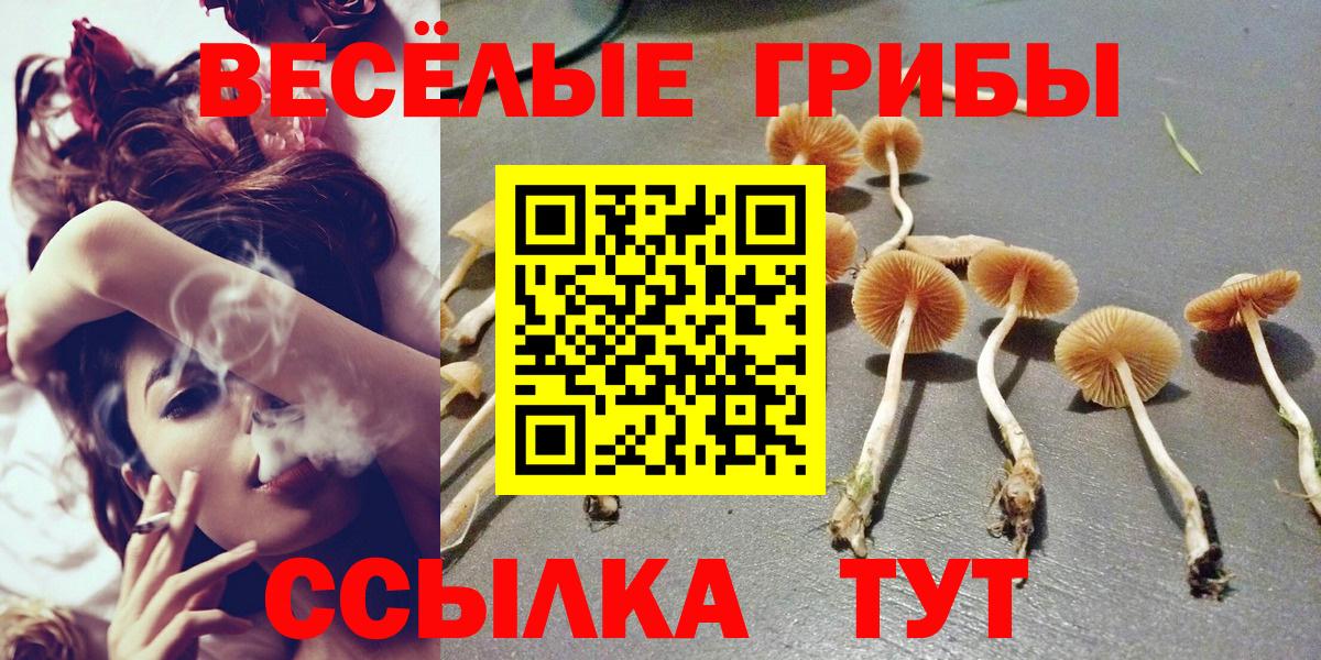 Галлюциногенные грибы MAGIC MUSHROOMS  Вход с VPN  Галлюциногенные грибы мухоморы  Азов 
